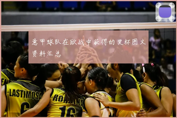 意甲球队在欧战中获得的奖杯图文资料汇总