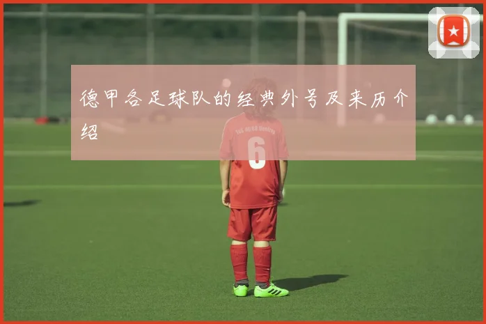 德甲各足球队的经典外号及来历介绍
