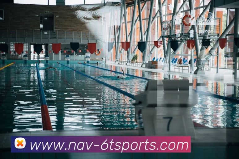 6T体育平台生态图